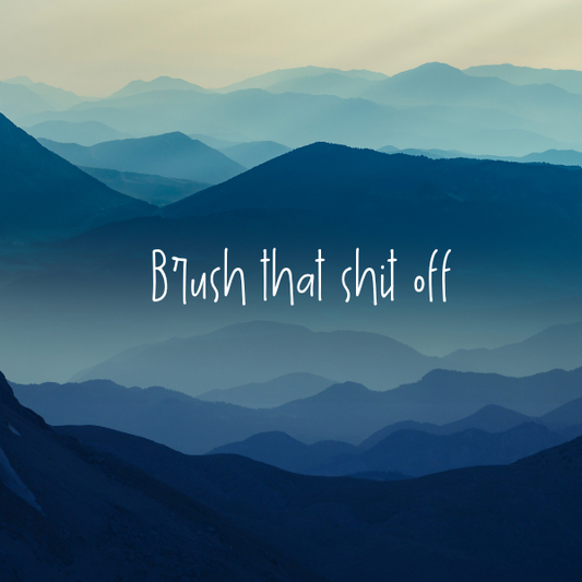 Brush That Shit Off