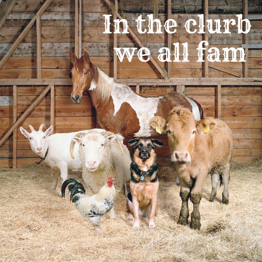 In the Clurb